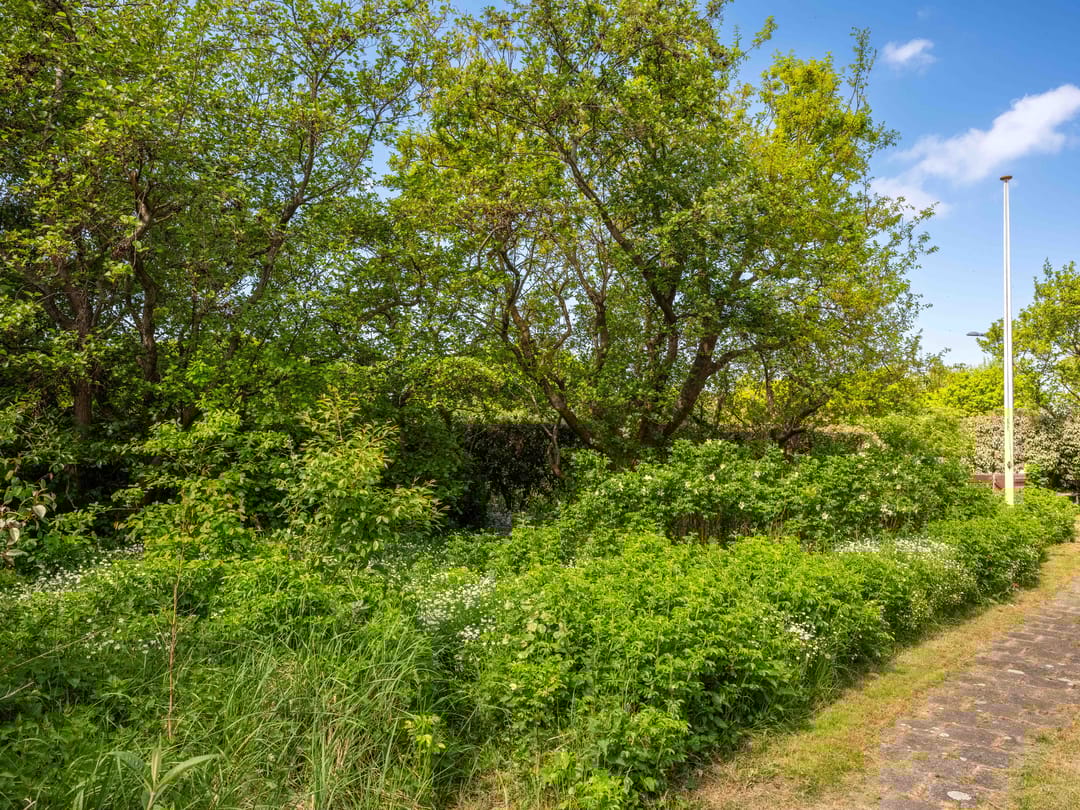 Foto 53 van Elzenlaan 30