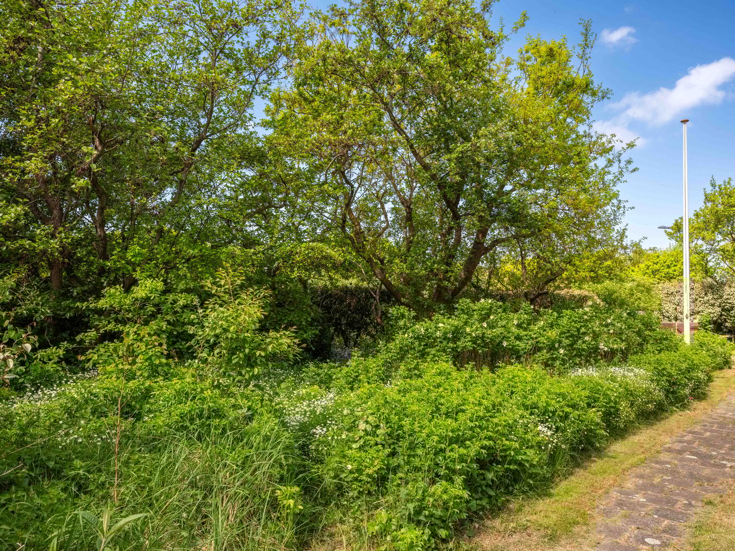 Foto 44 van Elzenlaan 30