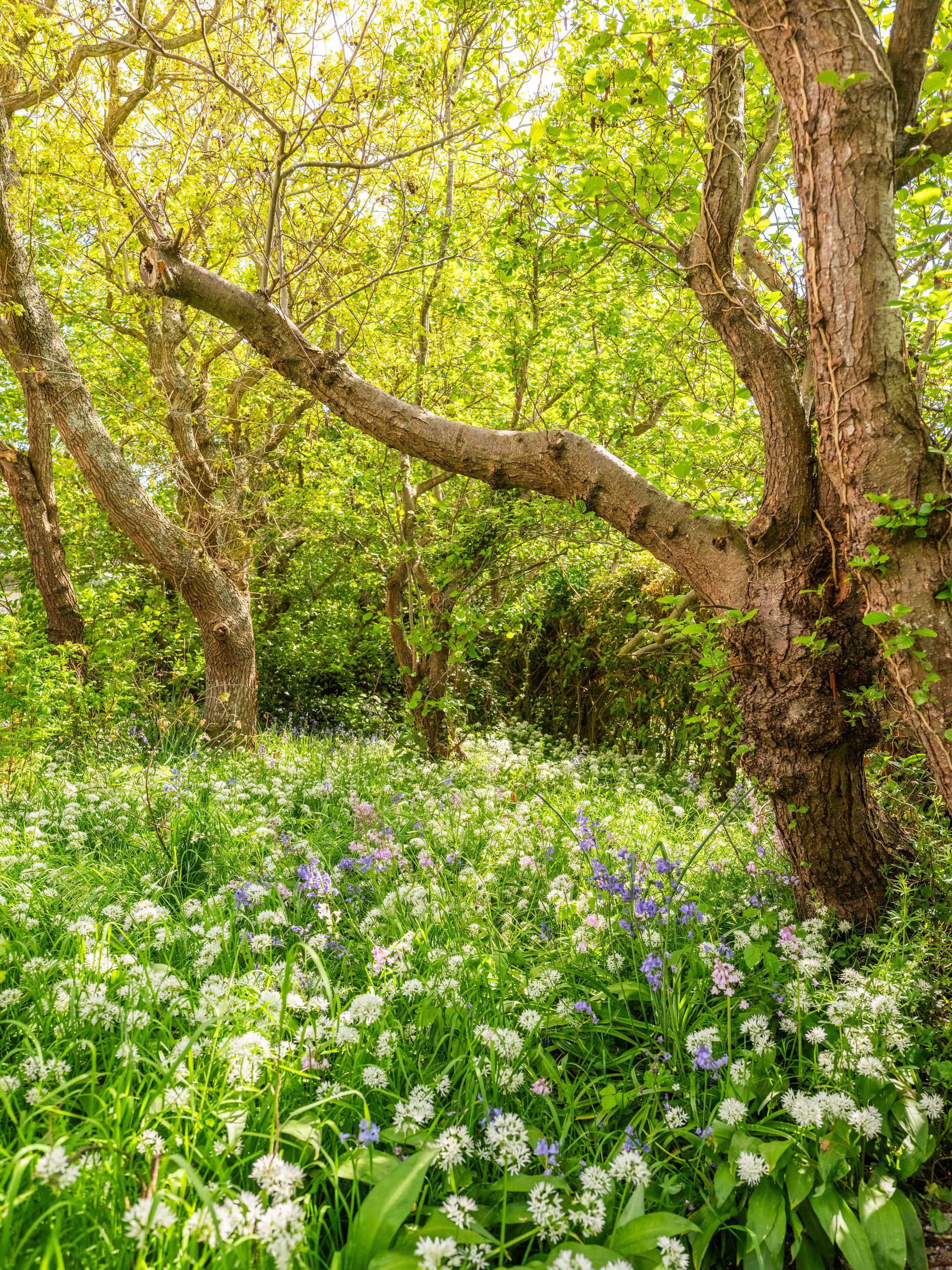 Foto 54 van Elzenlaan 30