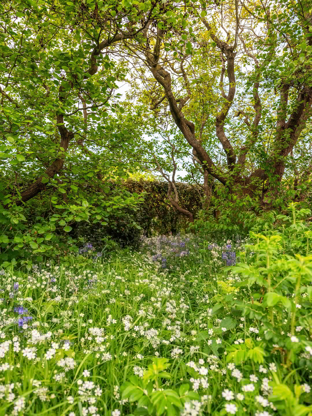 Foto 46 van Elzenlaan 30