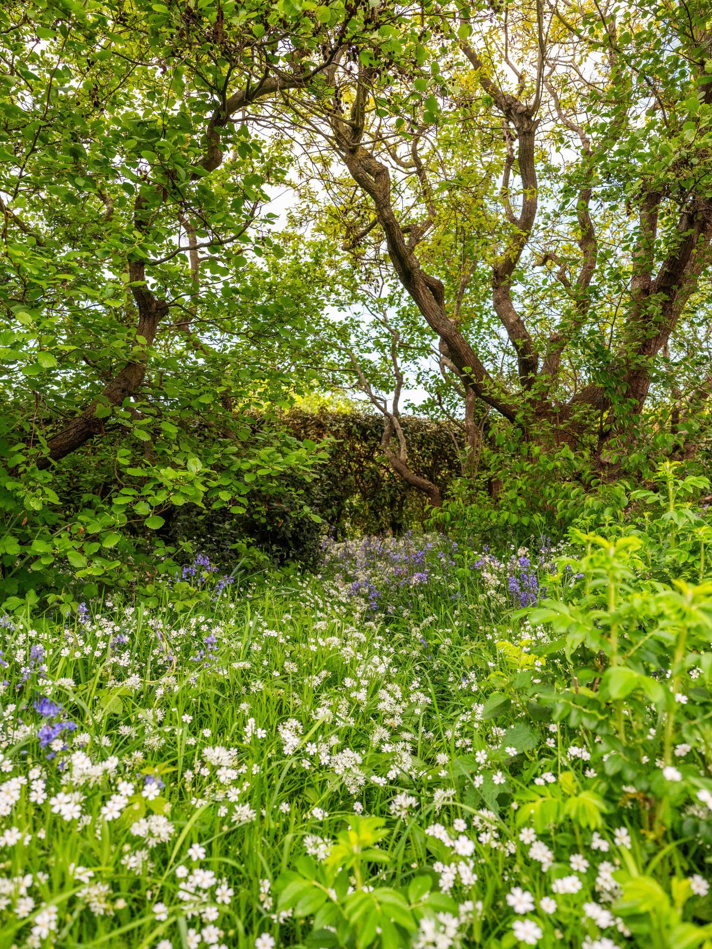 Foto 55 van Elzenlaan 30