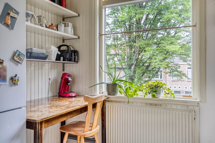 Foto 16 van Frans Halsstraat 89