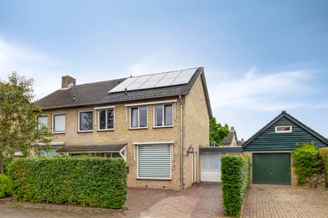 undefined main image