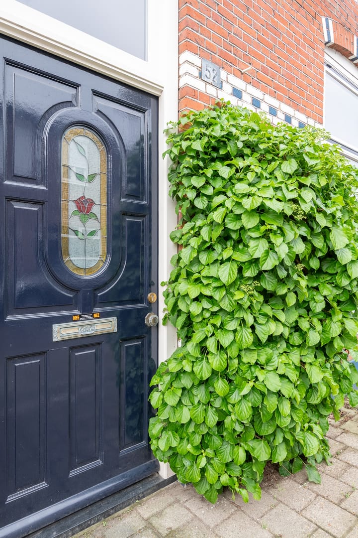 Foto 3 van Ranonkelstraat 52