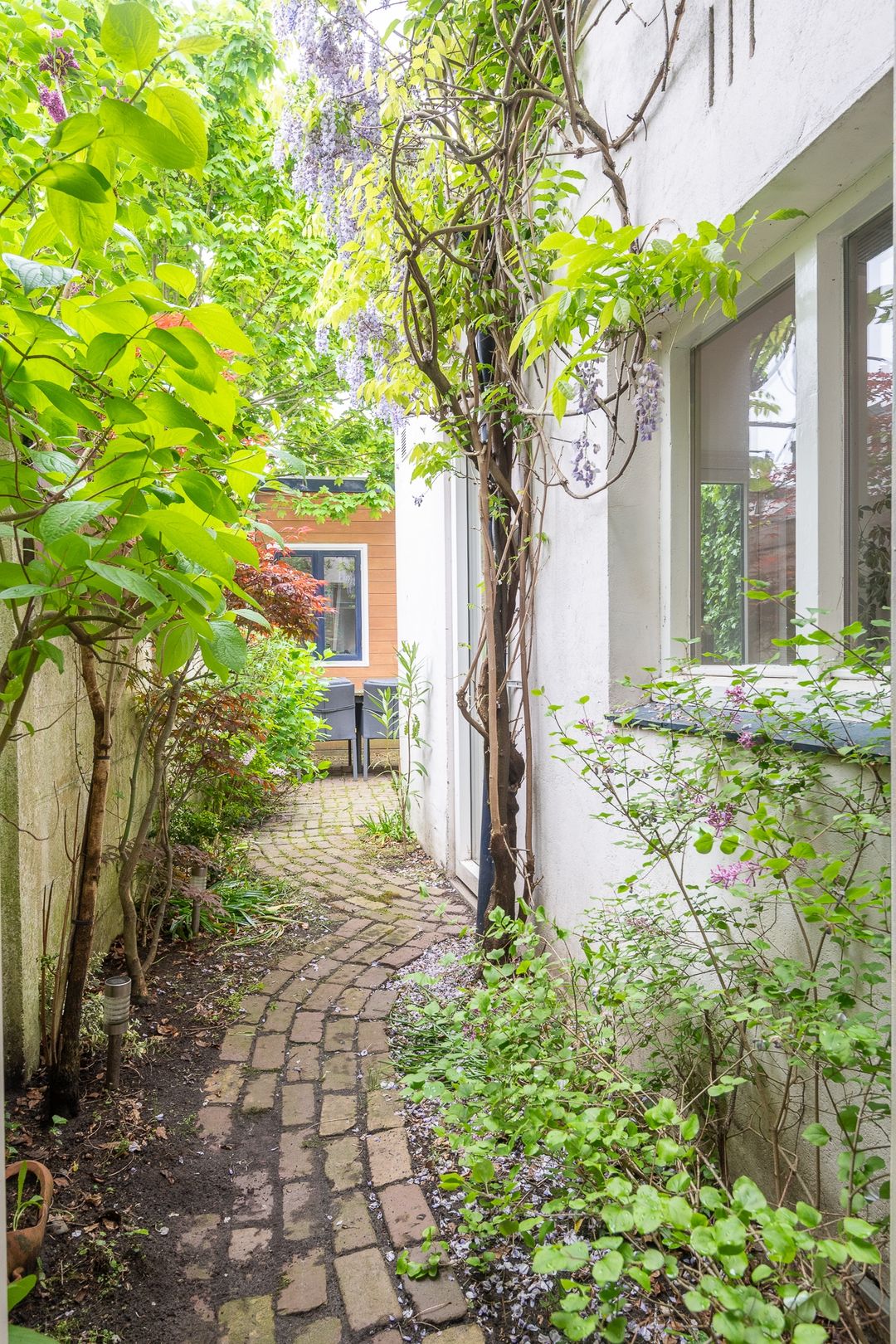 Photo 26 of Ranonkelstraat 52