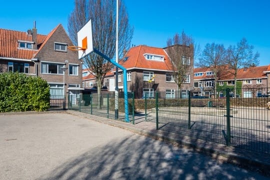 Photo 28 of Ranonkelstraat 52