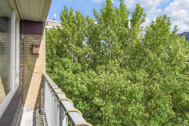 Foto 25 van Nieuwendamlaan 186