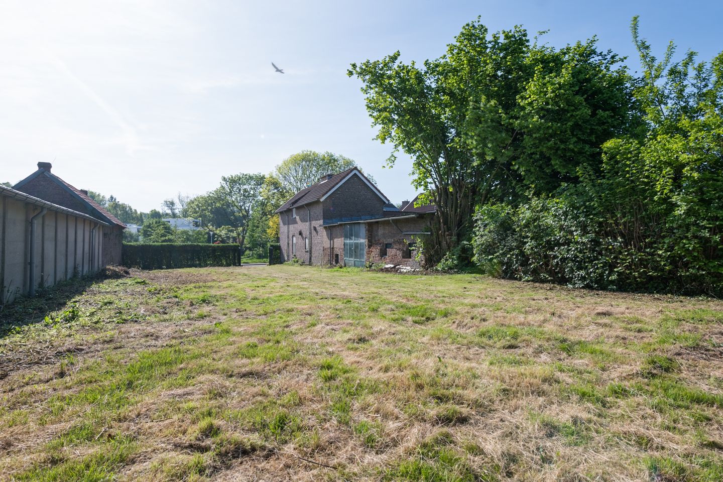 Foto 19 van Ophoven 41