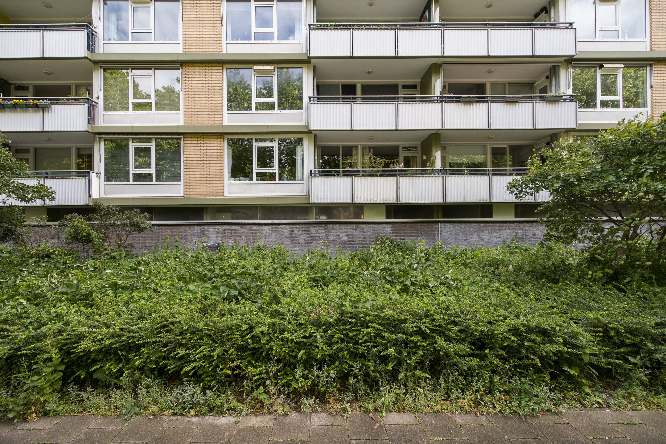 Foto 48 van Van Vollenhovenlaan 123