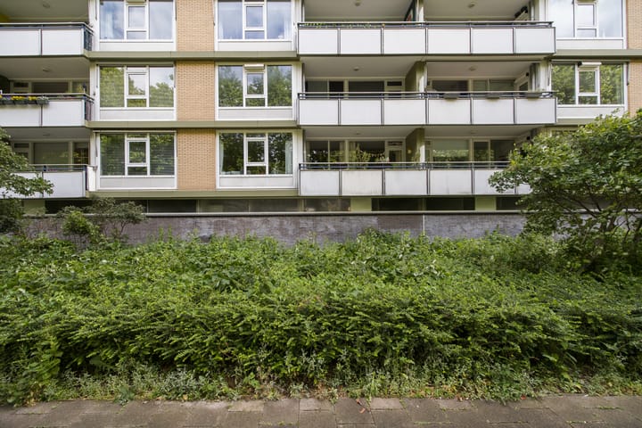 Foto 48 van Van Vollenhovenlaan 123