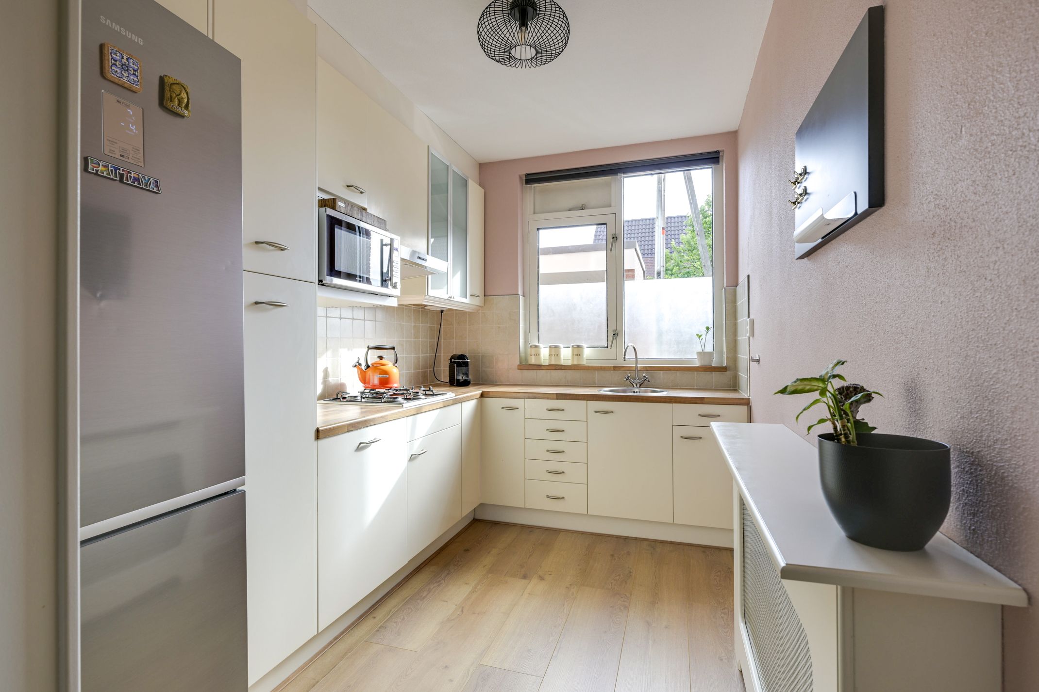 Foto 3 van Antilopespoor 229