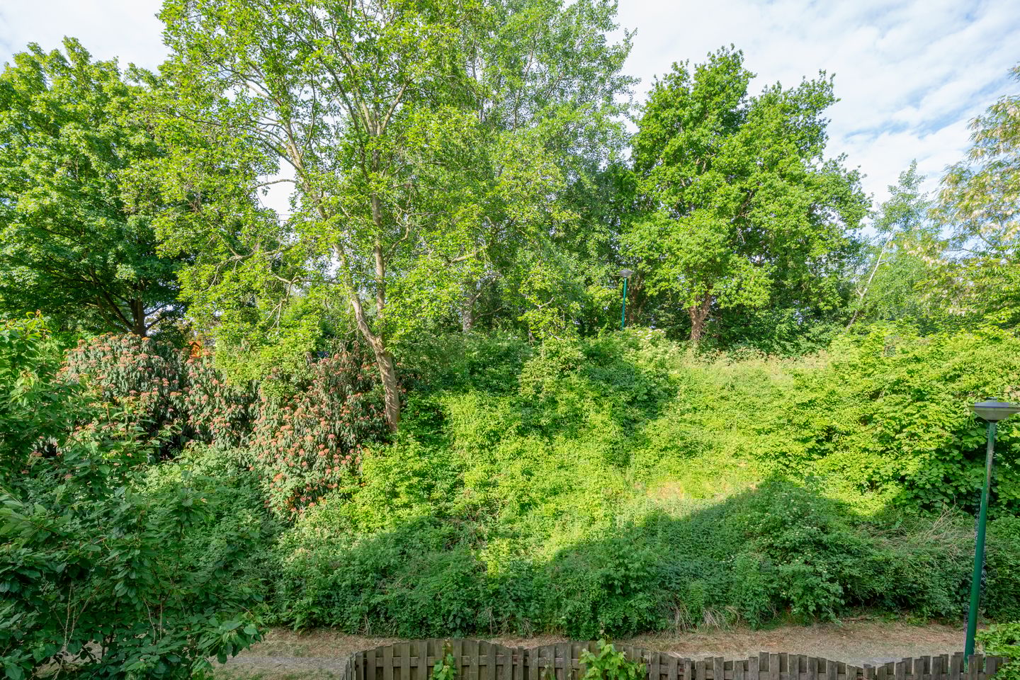 Foto 10 van Antilopespoor 229