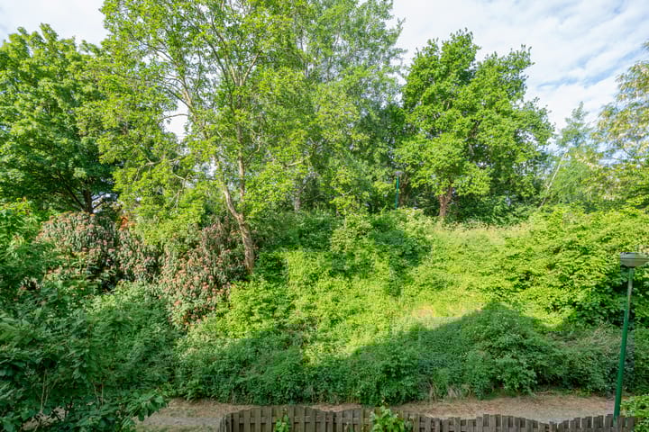 Foto 10 van Antilopespoor 229