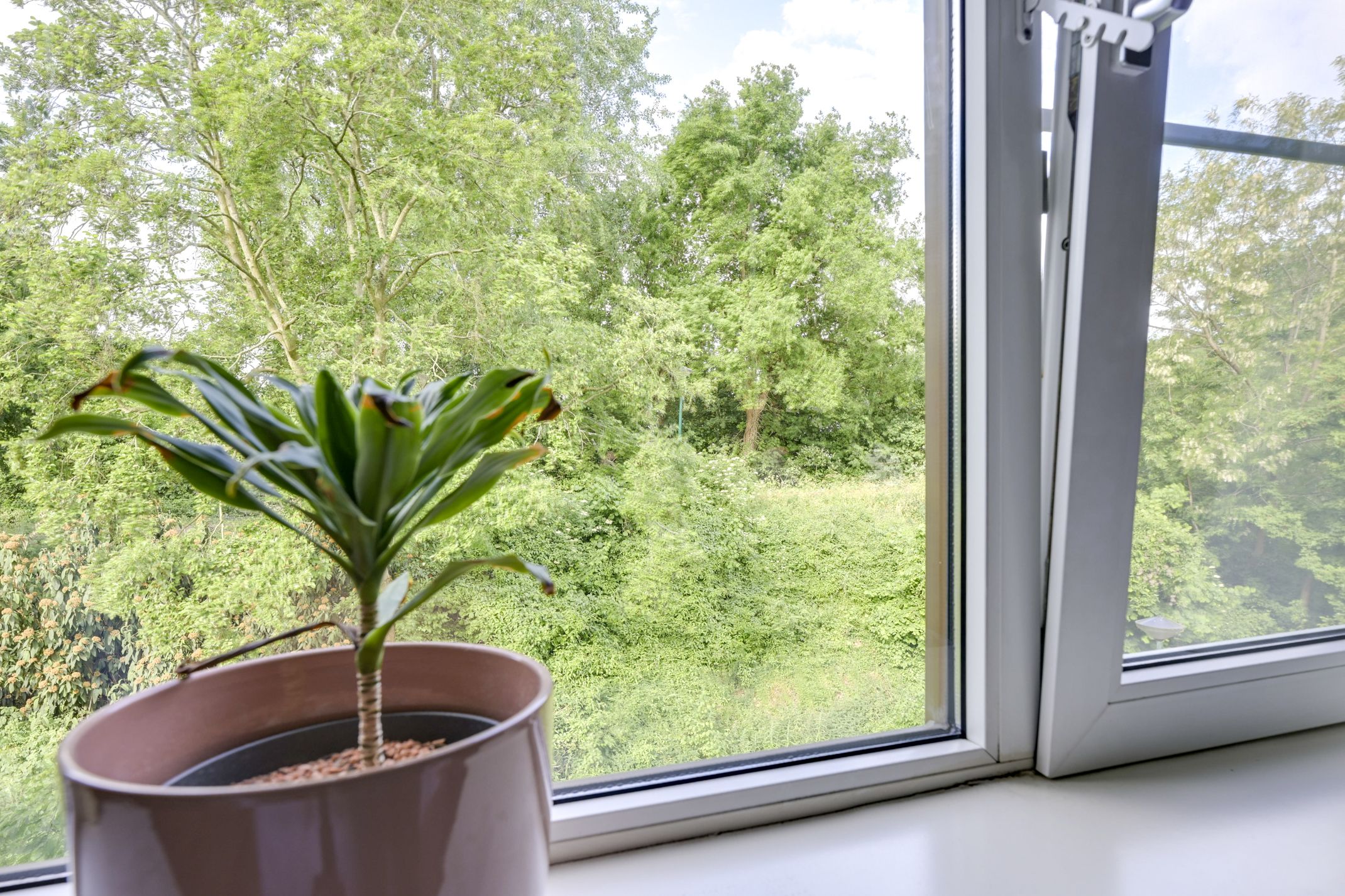 Foto 21 van Antilopespoor 229