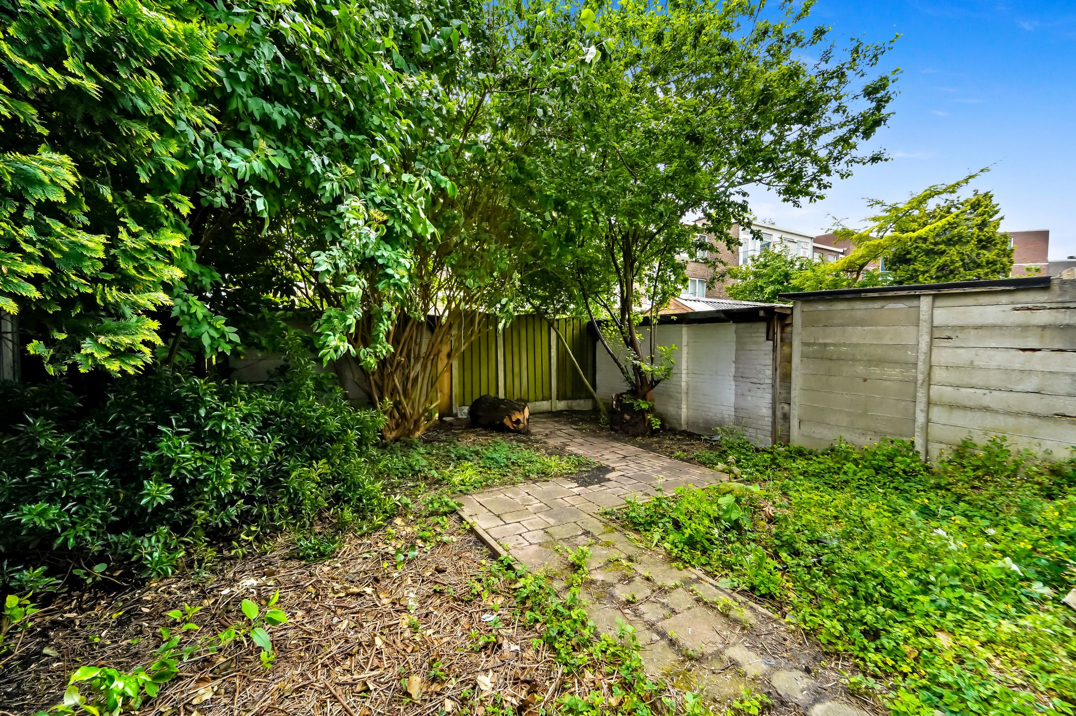 Foto 21 van Van den Boschstraat 265