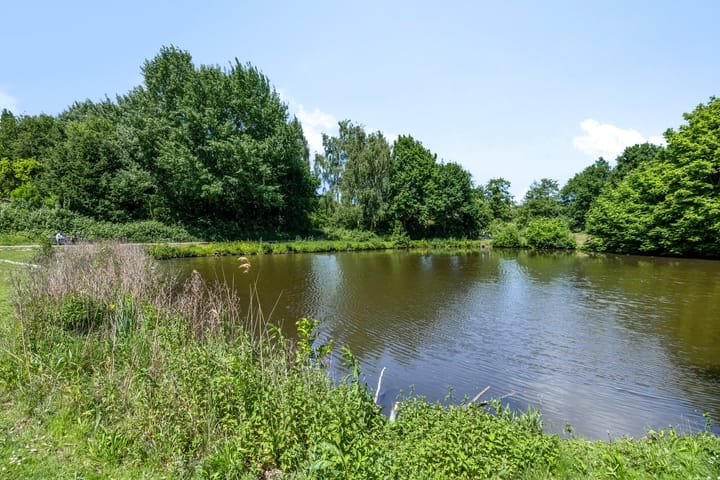 Foto 29 van Steenvoordelaan 350