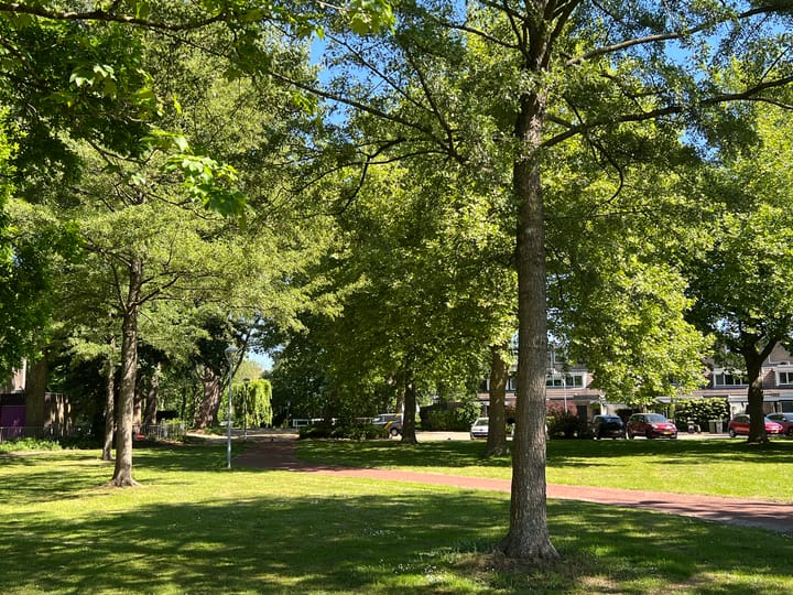 Foto 41 van Hammarskjöldstraat 117