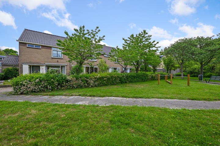 Foto 2 van Tormentil 5