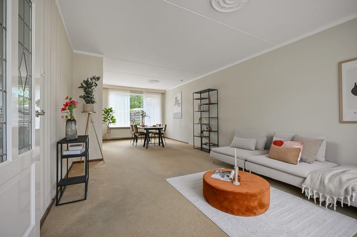 Photo 6 of Tormentil 5