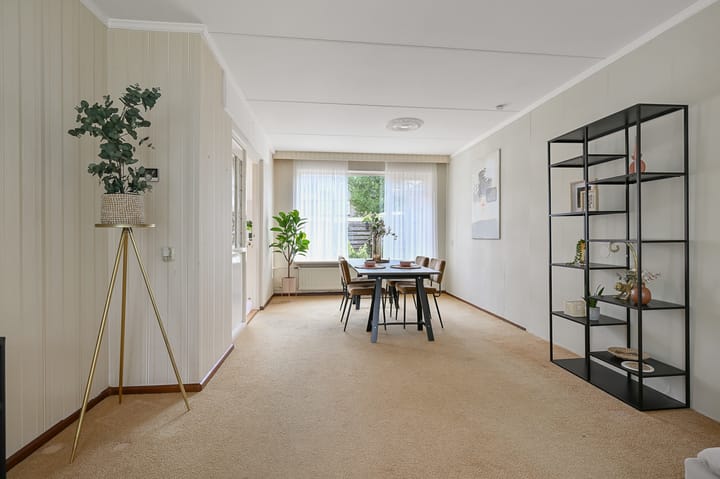 Photo 9 of Tormentil 5