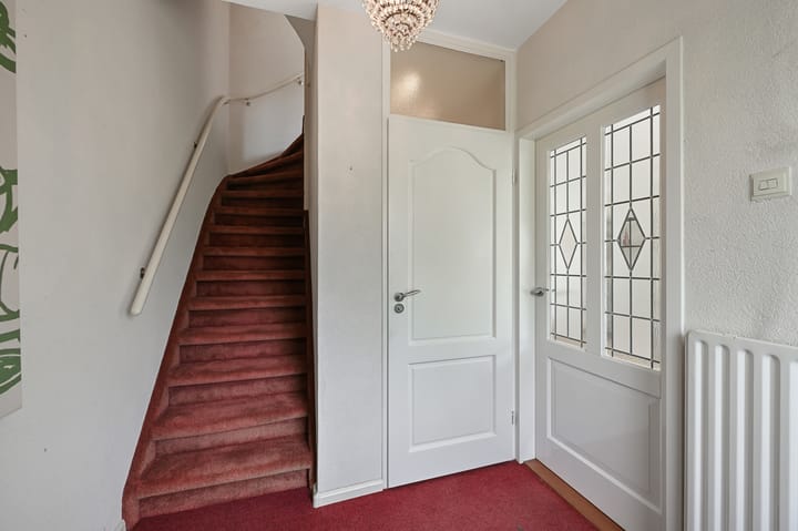 Photo 14 of Tormentil 5