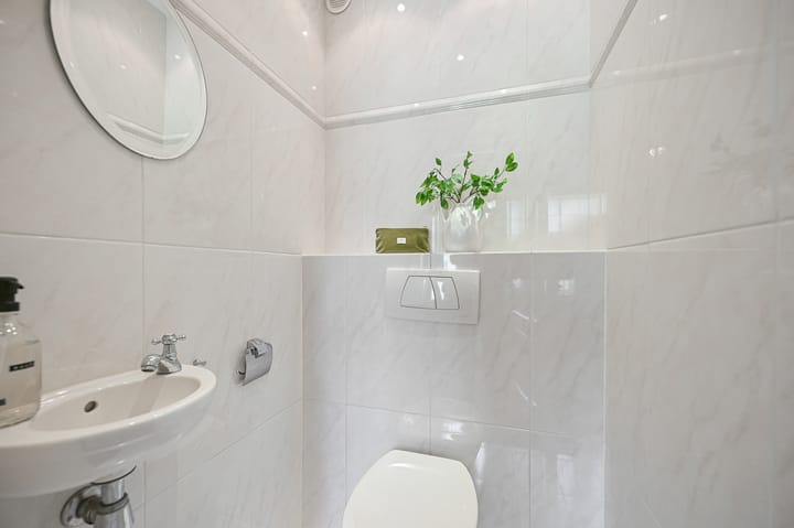 Photo 15 of Tormentil 5