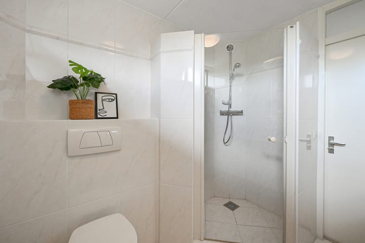 Photo 16 of Tormentil 5