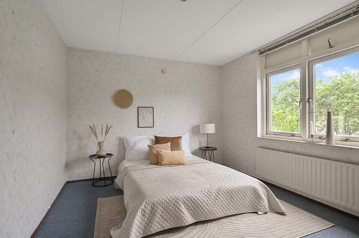 Photo 19 of Tormentil 5