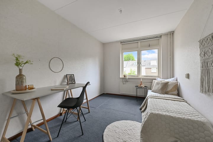 Photo 22 of Tormentil 5