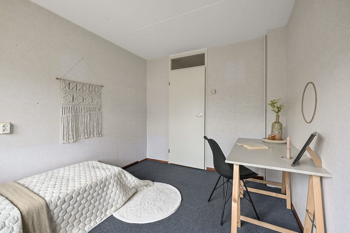 Photo 24 of Tormentil 5