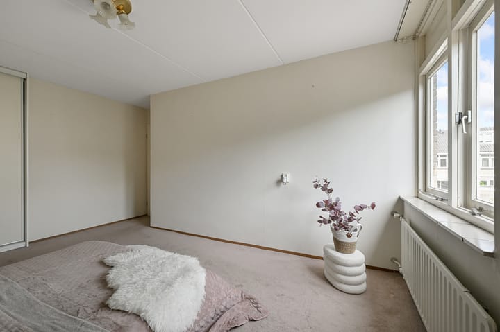 Photo 27 of Tormentil 5