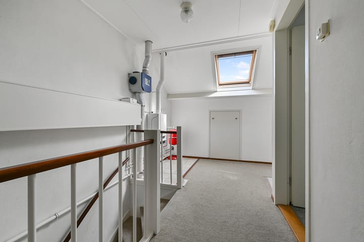 Photo 29 of Tormentil 5