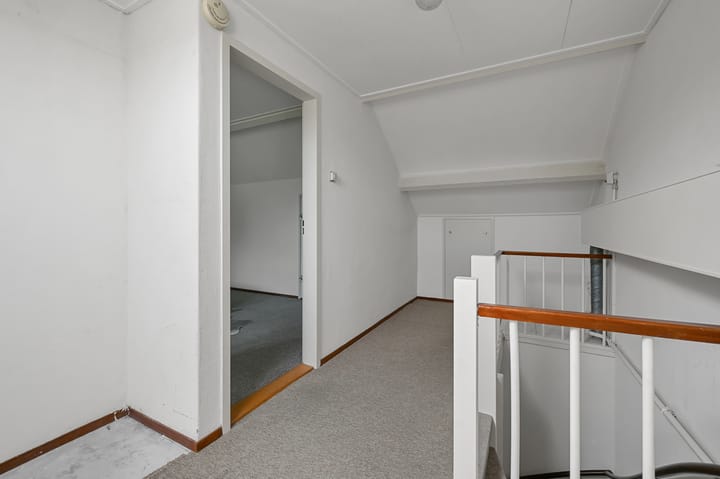 Photo 30 of Tormentil 5