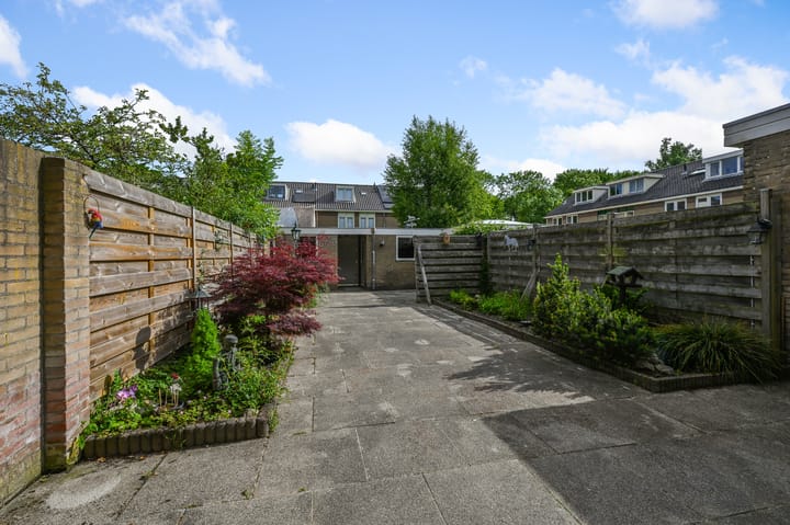 Photo 34 of Tormentil 5