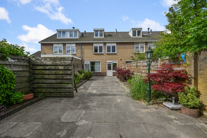 Photo 35 of Tormentil 5