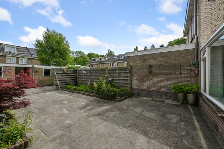 Photo 36 of Tormentil 5