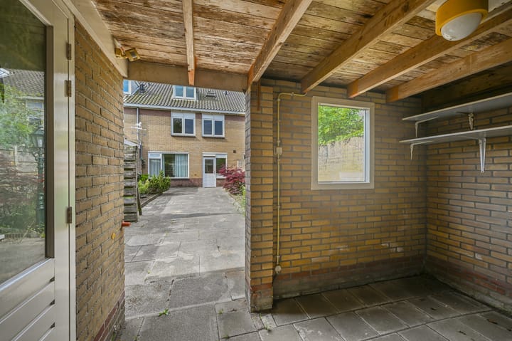 Photo 37 of Tormentil 5