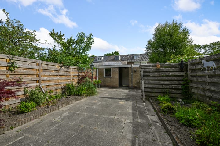 Photo 38 of Tormentil 5