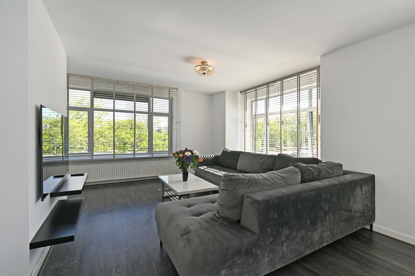 Foto 5 van Troelstrakade 137