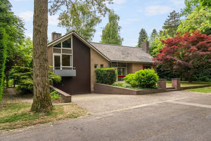 Foto 1 van Frans Halslaan 3