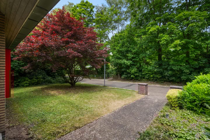 Foto 9 van Frans Halslaan 3