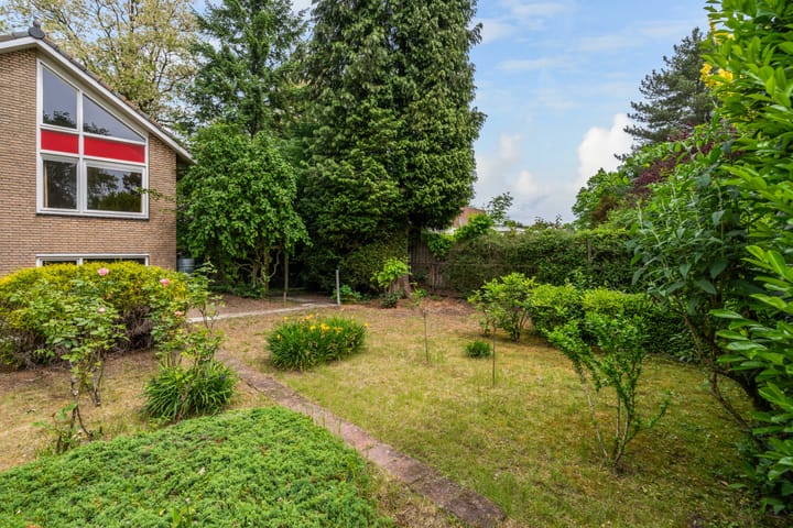 Foto 46 van Frans Halslaan 3