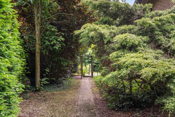 Foto 49 van Frans Halslaan 3