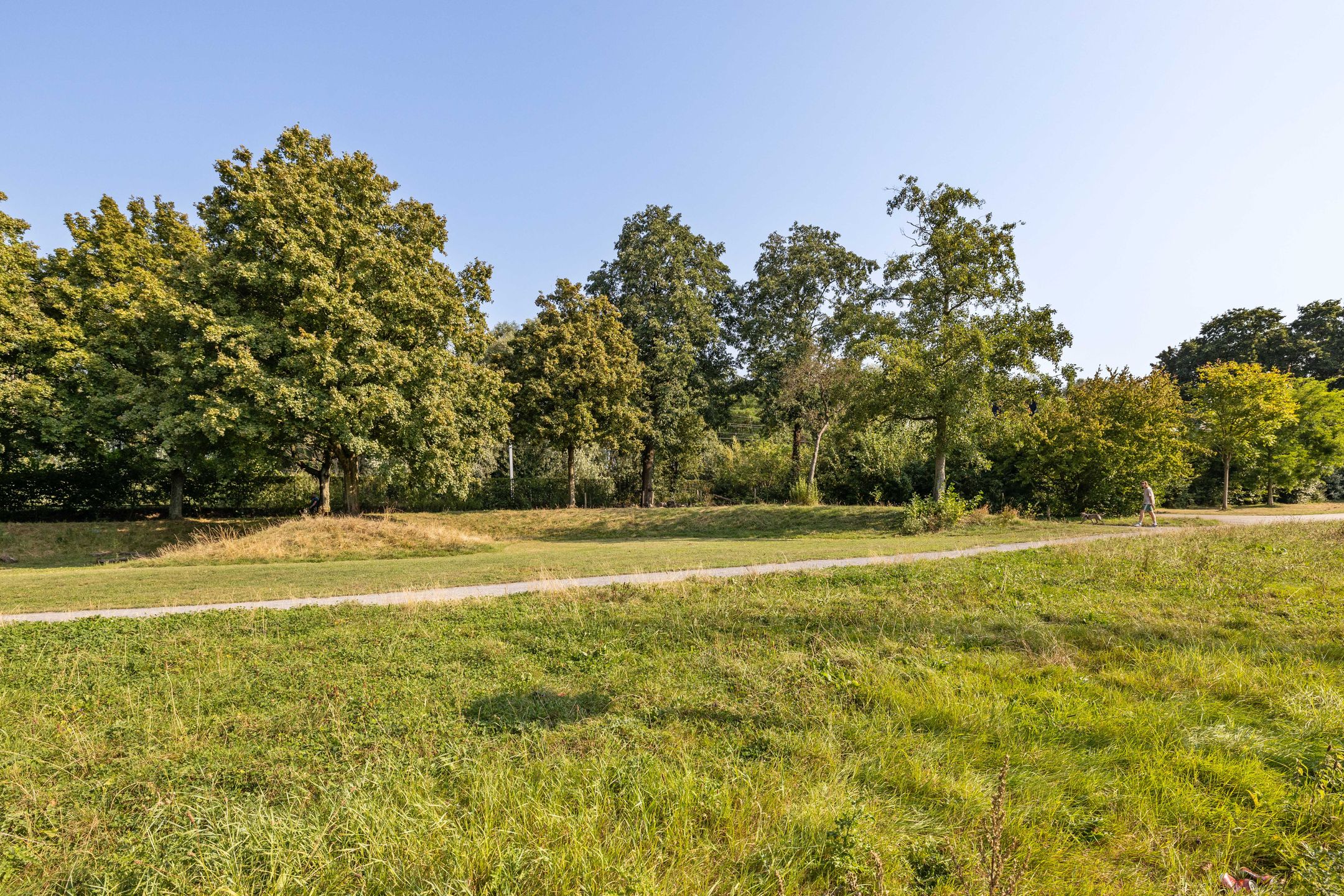 Foto 24 van Cremerstraat 262