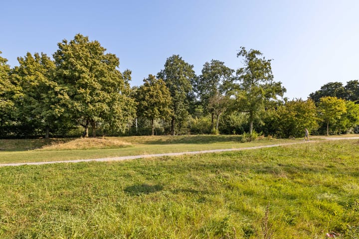 Photo 24 of Cremerstraat 262