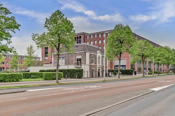 Photo 29 of Cremerstraat 262