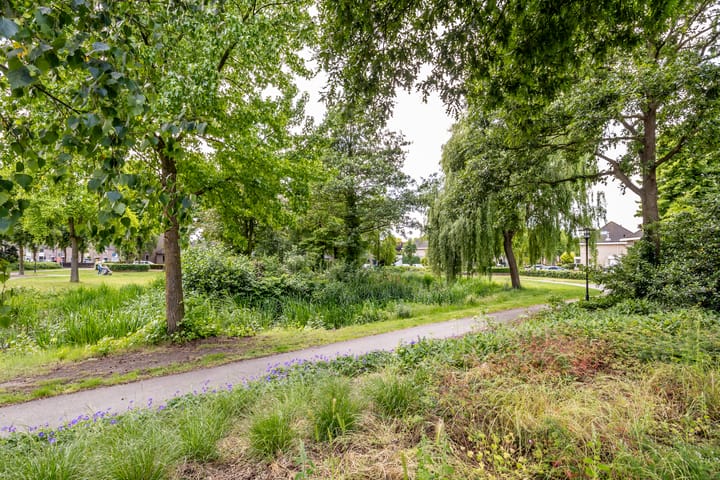 Foto 44 van Haenenveld 26