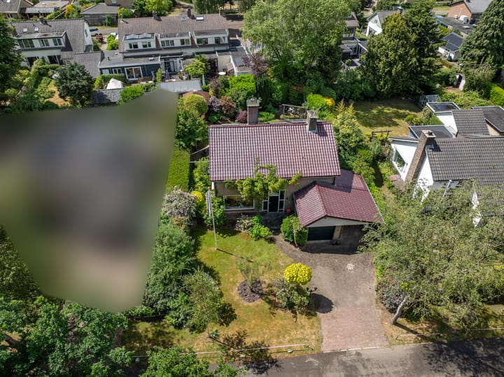 Foto 64 van Wildbaan 9