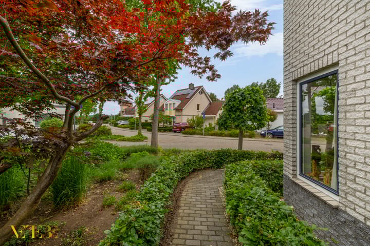 Foto 42 van Goudhaver 5