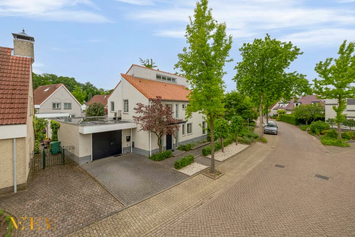 Foto 50 van Goudhaver 5